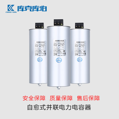 什么是自愈式低壓并聯(lián)電力電容器？