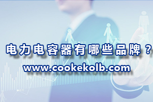 電力電容器有哪些品牌？