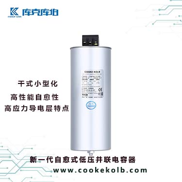 新一代自愈式低壓并聯(lián)電容器的產(chǎn)品技術(shù)特點(diǎn)是什么？