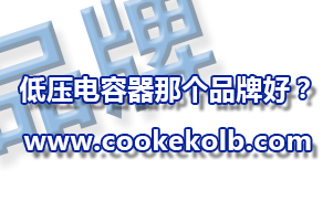 低壓電容器哪個品牌好？