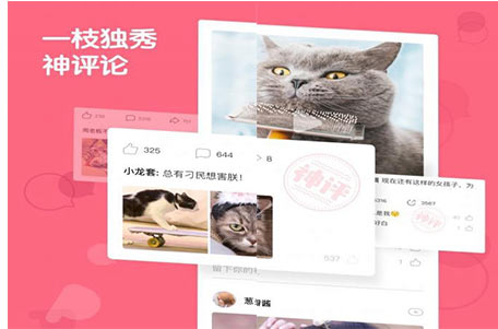 日頭條推送了一款名叫“皮皮蝦”的APP