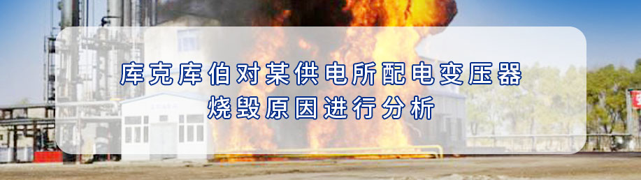 庫(kù)克庫(kù)伯對(duì)某供電所配電變壓器燒毀原因進(jìn)行分析