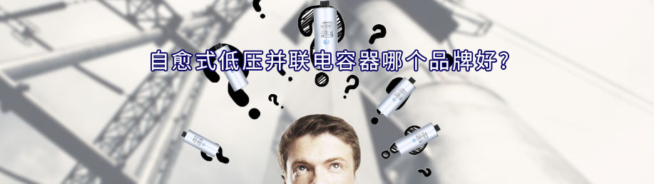 自愈式低壓并聯(lián)電容器品牌哪個(gè)比較好，