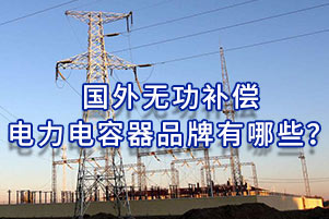 國外無功補償電力電容器品牌有哪些？