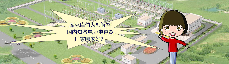 國內(nèi)知名電力電容器廠家哪家好？