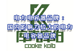 電力電容器品牌：國內(nèi)影響力較大的電力電容器品牌