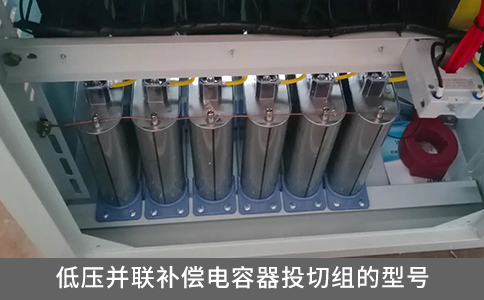 低壓并聯(lián)補(bǔ)償電容器投切組的型號(hào)