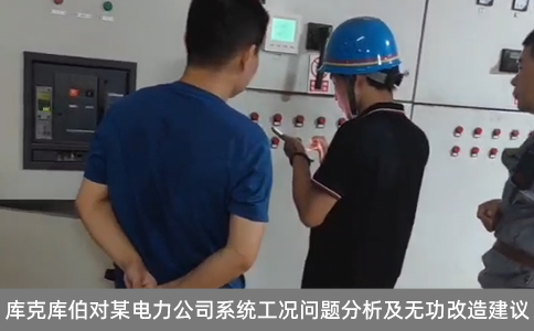 庫克庫伯對(duì)某電力公司系統(tǒng)工況問題分析及無功改造建議