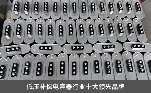 低壓補償電容器行業(yè)十大領(lǐng)先品牌