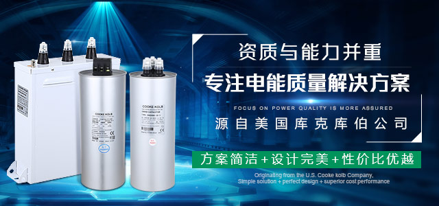 庫(kù)克庫(kù)伯電力電容器
